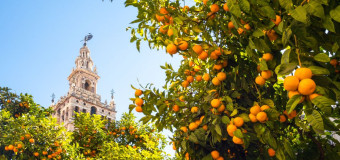 Andalūzija - Spānijas slaveno dienvidu apskats