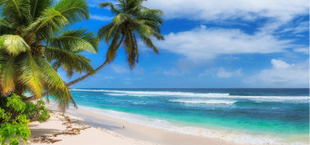 Kad ceļot uz eksotiskajām valstīm? 🌴