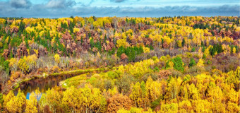 Skolēnu rudens brīvlaiks 2024 - kur braukt, ko darīt ar bērniem!
