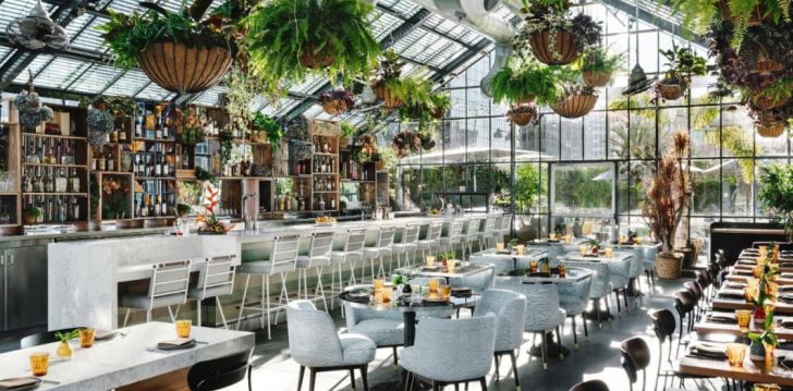 Baudiet braucienu uz Ameriku 4* THE LINE HOTEL Losandželosā, ASV! 2