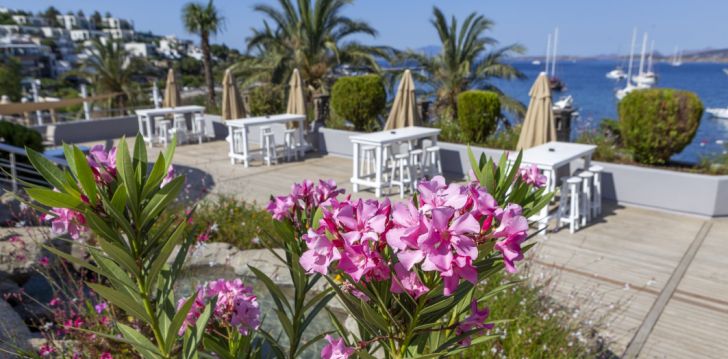 Laiska atpūta 4* DIAMOND OF BODRUM viesnīcā Bodrumā, Turcijā! 44