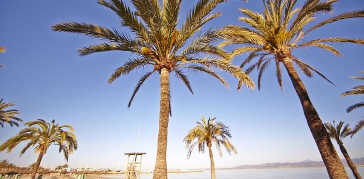 Laiska, ekonomiska atpūta 3* MLL PALMA BAY CLUB RESORT Maljorkā! 30