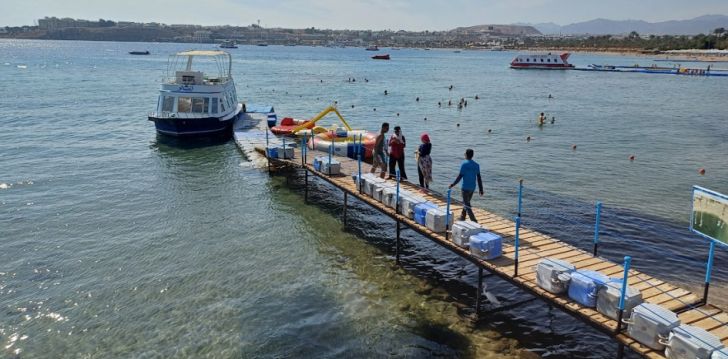 Izdevīga un ekonomiska atpūta 4* GAFY RESORT AQUA PARK Šarmelšeihā, Ēģiptē! 25