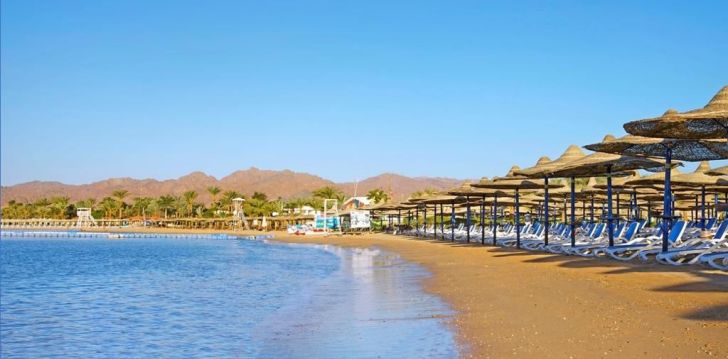 Izdevīga un ekonomiska atpūta 4* GAFY RESORT AQUA PARK Šarmelšeihā, Ēģiptē! 28
