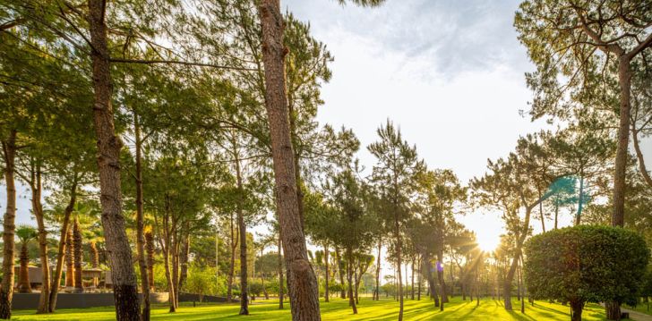 Izbaudiet VIP-līmeņa atvaļinājumu 5* BALMY FORESTA viesnīcā Kemerā, Turcijā! 4