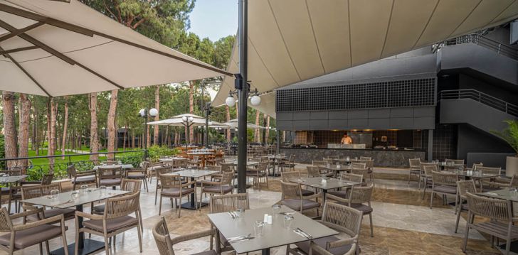 Izbaudiet VIP-līmeņa atvaļinājumu 5* BALMY FORESTA viesnīcā Kemerā, Turcijā! 49