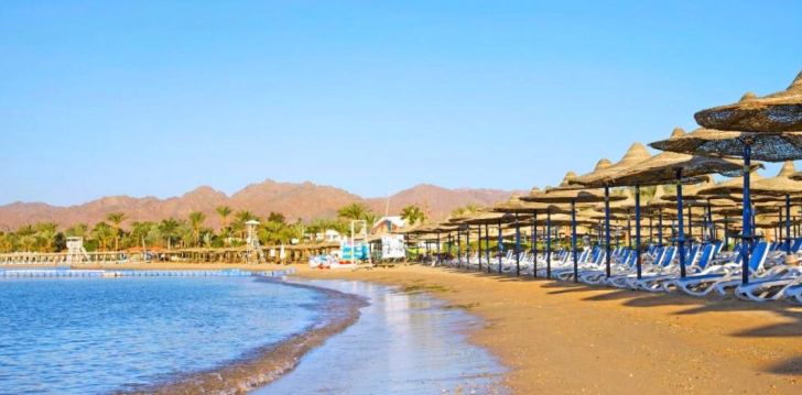 Izdevīga un ekonomiska atpūta 4* GAFY RESORT AQUA PARK Šarmelšeihā, Ēģiptē! 28