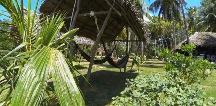 Izbaudiet eksotisko dzīvi Šrilankā, 3* viesnīcā HIDEAWAY LODGE! 9
