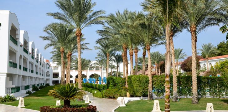BARON PALMS RESORT 5* - lieliska atpūta tikai pieaugušajiem Šarmelšeihā, Ēģiptē! 4