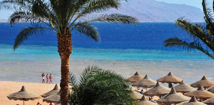 BARON PALMS RESORT 5* - lieliska atpūta tikai pieaugušajiem Šarmelšeihā, Ēģiptē! 17
