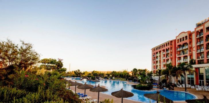 HOTEL BONALBA ALICANTE 4* - kvalitatīva un mierīga atpūta Alikantē, Spānijā! 28