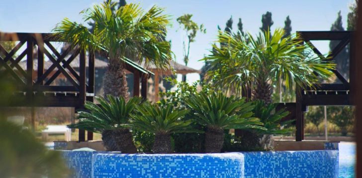 HOTEL BONALBA ALICANTE 4* - kvalitatīva un mierīga atpūta Alikantē, Spānijā! 30
