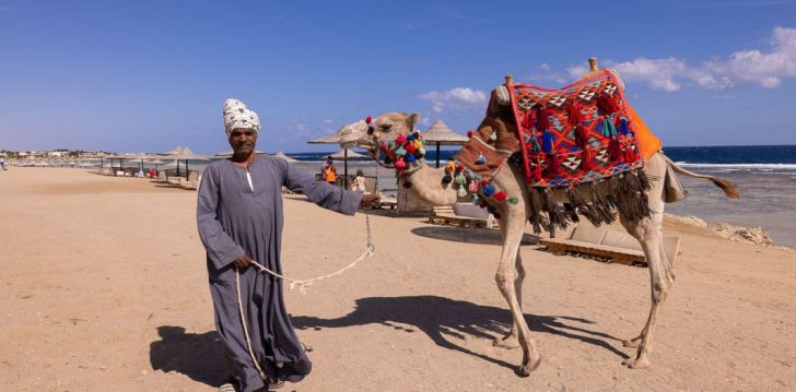 4* BLISS NADA BEACH RESORT - laiska atpūta visai ģimenei Marsalamā! 32