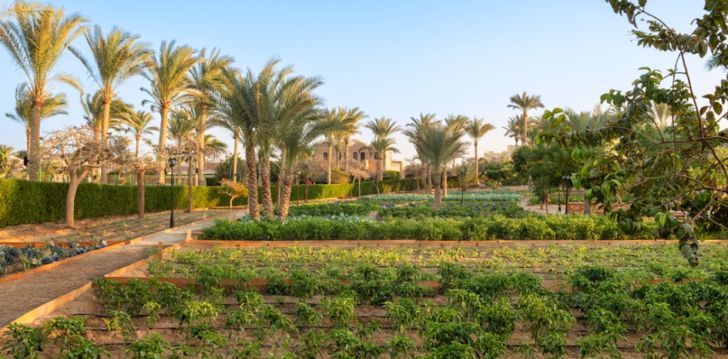 5* MOVENPICK RESORT EL QUSEIR - atpūta visai ģimenei Alkuseirā, Ēģiptē! 14