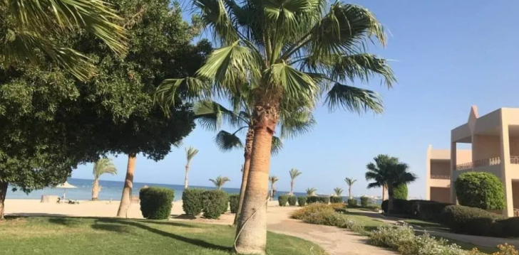 Ceļojums uz Ēģipti – 4* viesnīcā SHONI BAY RESORT! 6