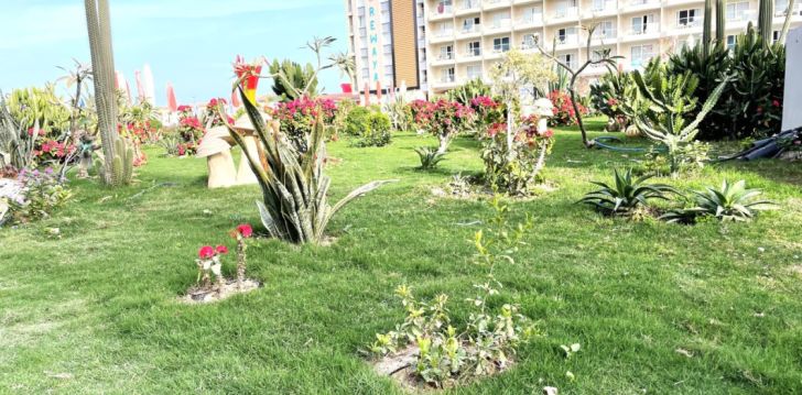 Ceļojums uz Ēģipti – 5* viesnīcā REWAYA LUXURY RESORT! 12