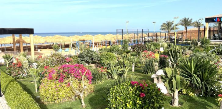 Ceļojums uz Ēģipti – 5* viesnīcā REWAYA LUXURY RESORT! 13