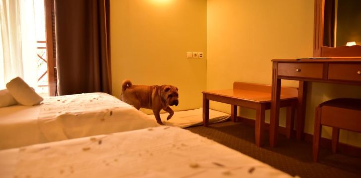 Atpūta Grieķijā – 3* viesnīcā MONT HELMOS HOTEL! 27