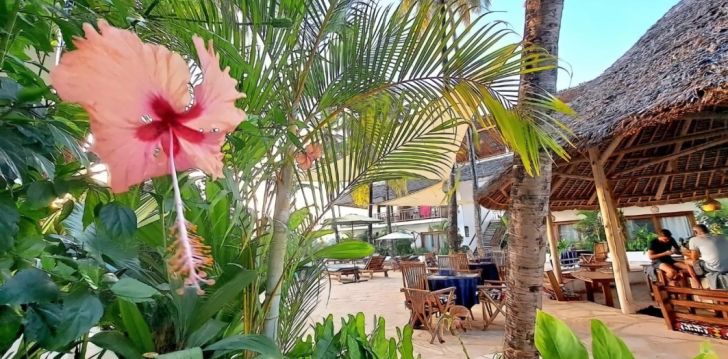 Atpūta Tanzānijā – 4* viesnīcā ALUNA PAJE! 21
