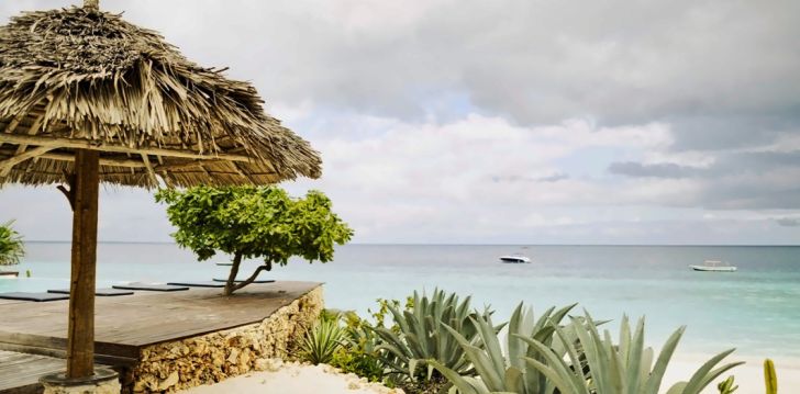 Atpūta Tanzānijā – 4* viesnīcā MY BLUE HOTEL! 10
