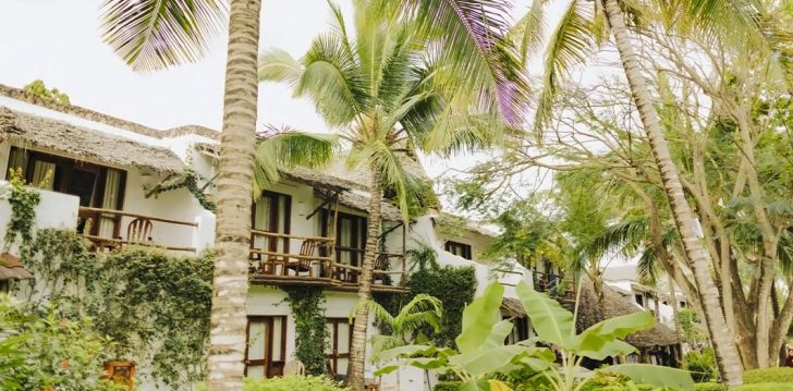 Atpūta Tanzānijā – 4* viesnīcā MY BLUE HOTEL! 13