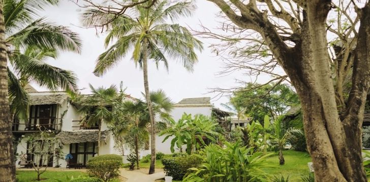 Atpūta Tanzānijā – 4* viesnīcā MY BLUE HOTEL! 15