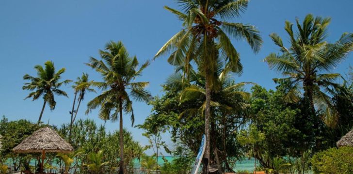 Atpūta Tanzānijā – 4* viesnīcā TIKITAM PALMS BOUTIQUE HOTEL (ADULTS ONLY 16+)! 10