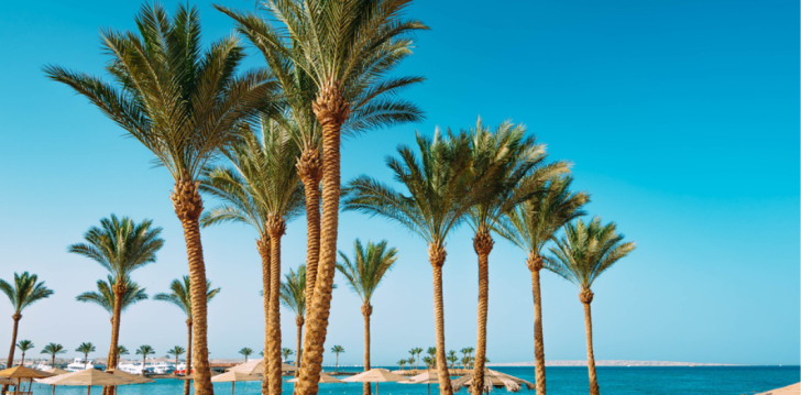 Jautras brīvdienas 5* JASMINE PALACE RESORT & SPA Ēģiptē 81