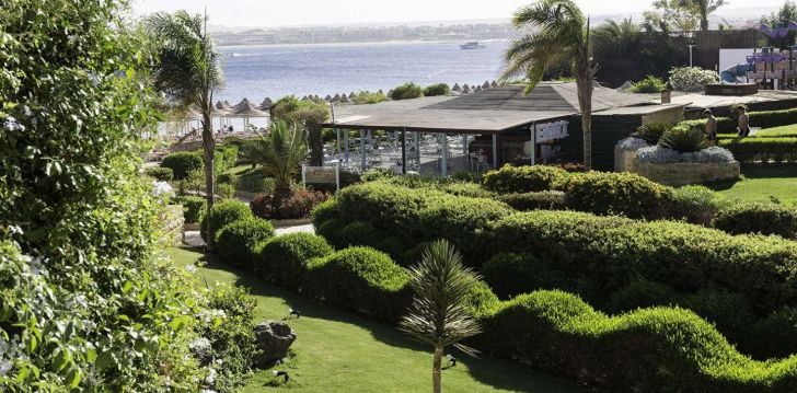 PRIMA LIFE MAKADI RESORT & SPA 5* - augsta līmeņa atpūta Hurgadā, Ēģiptē! 9