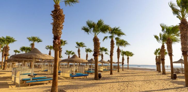 Atpūta Ēģiptes saulē 4* AMWAJ BEACH CLUB ABU SOMA! 7