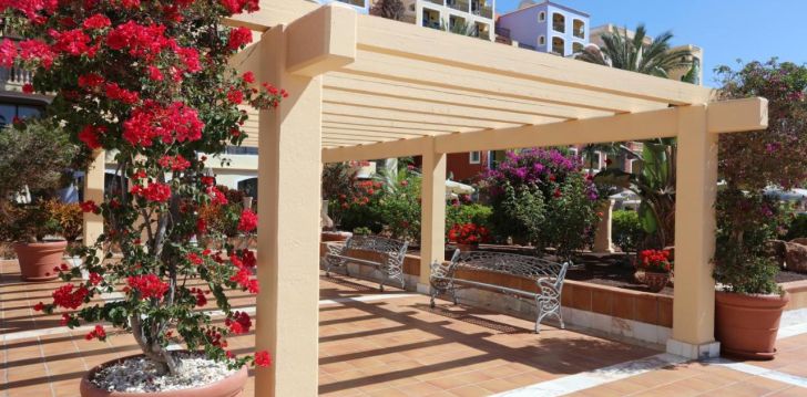 Laiska atpūta 4* SUNLIGHT BAHIA PRINCIPE TENERIFE Kanāriju salās! 10