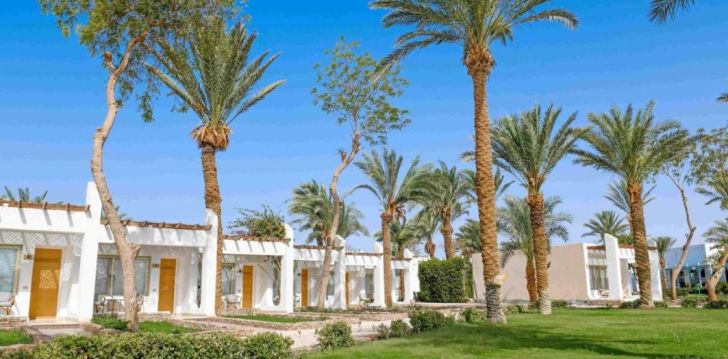 MENAVILLE RESORT 4* - baudiet izdevīgu atpūtu pie jūras Hurgadā, Ēģiptē! 21