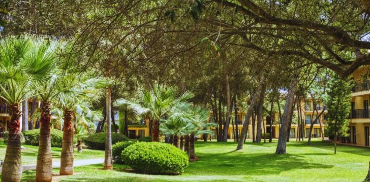 VELL MARI HOTEL & RESORT 4* - baudiet atpūtu Maljorkā, Spānijā! 38