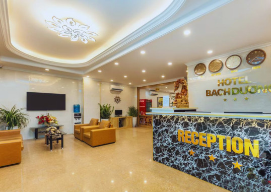 SUPER OYO CAPITAL O 387 BACH DUONG HOTEL 2