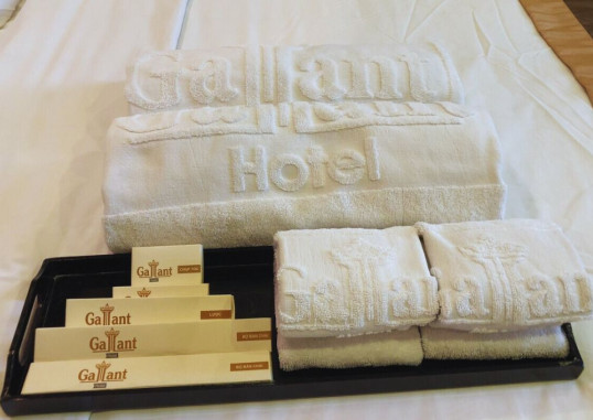 GALLANT HOTEL 25