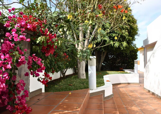 CANICO BAY 15