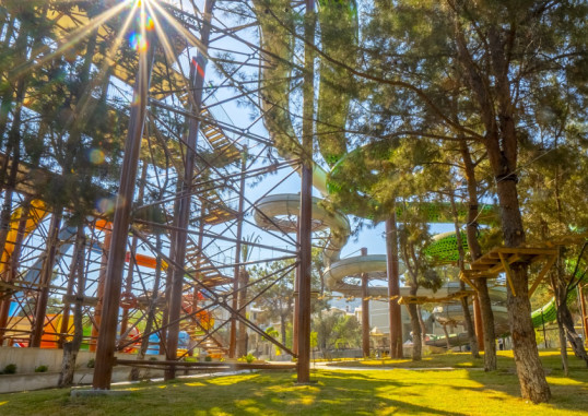 LONG BEACH CLUB NATURE 43