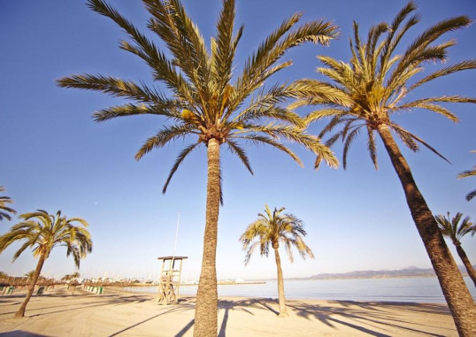 MLL PALMA BAY CLUB RESORT 30