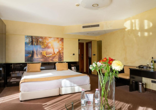 EUROPE HOTEL 5