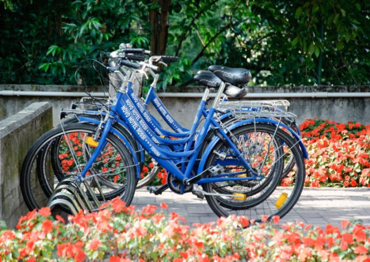 NOVO ROSSI 3