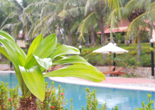 SEA LION BEACH RESORT & SPA HAM TIEN 16