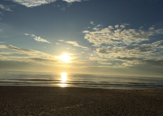 SEA LION BEACH RESORT & SPA HAM TIEN 29