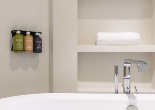 HOLIDAY INN DOHA - THE BUSINESS PARK 39