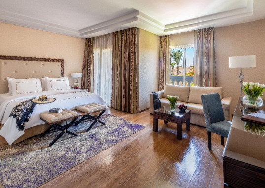 RIXOS PREMIUM SEAGATE SHARM 25