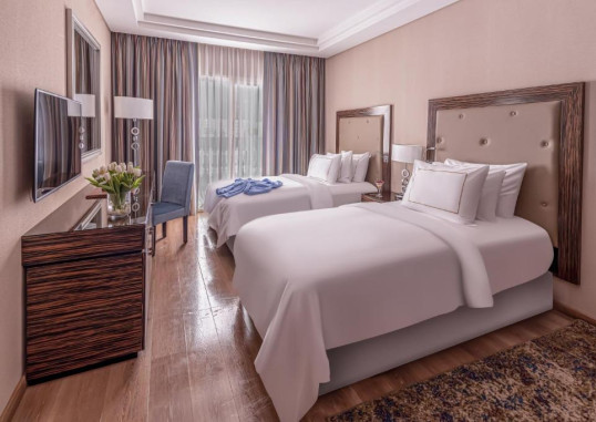 RIXOS PREMIUM SEAGATE SHARM 33