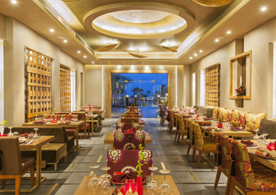 RIXOS PREMIUM SEAGATE SHARM 41