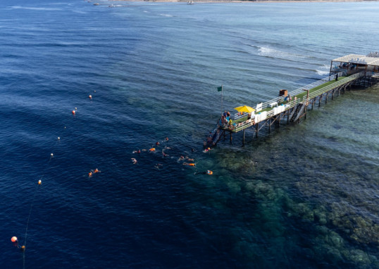 RIXOS PREMIUM SEAGATE SHARM 74