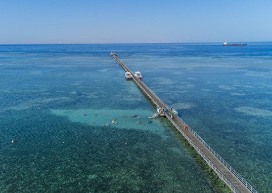 RIXOS PREMIUM SEAGATE SHARM 75