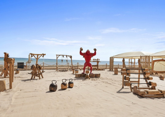 RIXOS PREMIUM SEAGATE SHARM 82