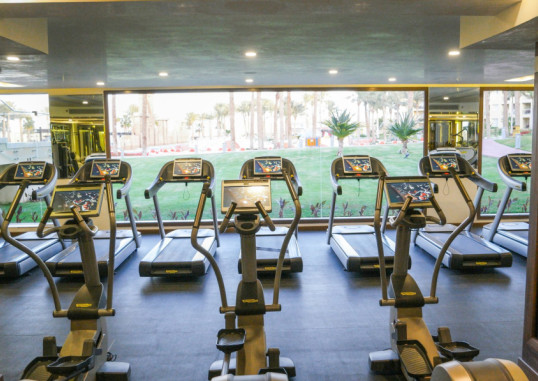 RIXOS PREMIUM SEAGATE SHARM 92